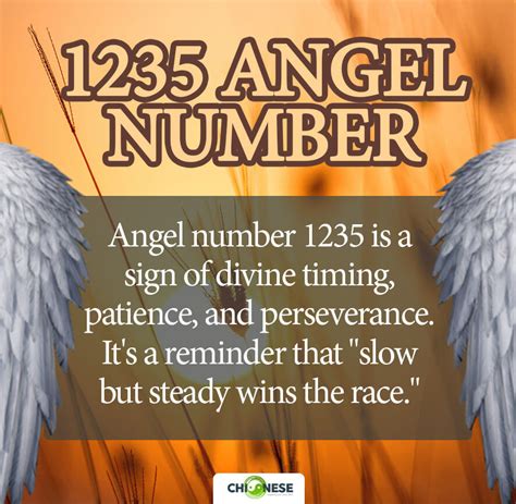 1235 Angel Number Love, Twin Flame & Money。